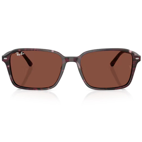 Ray-Ban Icons Raimond Square Sunglasses in Violet/Red RB2231 1416C5