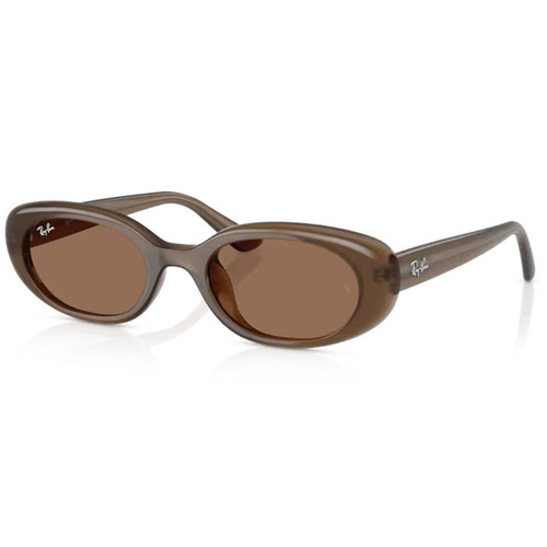 Ray-Ban 1960s Style Bug-Eye Sunglasses in Opal Brown/Dark Brown RB4441D 677973