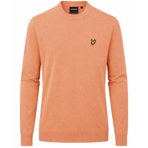 Lyle & Scott Men's Cotton Crew Neck Jumper in Terracotta Pot - Main View 