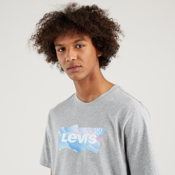 Levi's HM Batwing Clouds Retro 1980s Tee in Grey