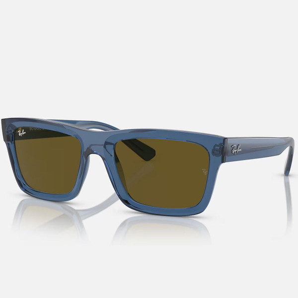 Ray-Ban Warren Retro Sunglasses 0RB4396 668073 in Transparent Dark Blue