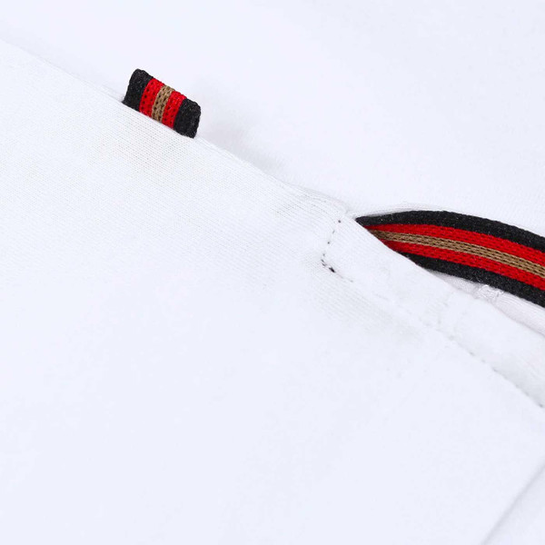 Luke Lions Den Stripe Panel Indie T-shirt in White and Sky Blue M560151