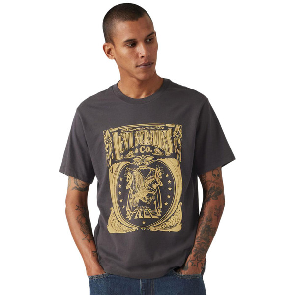 Levi's Brin Music Inspired Retro T-shirt in Phantom Black 224911854