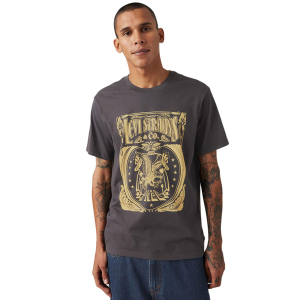 Levi's Brin Music Inspired Men's T-shirt in Phantom Black 224911854