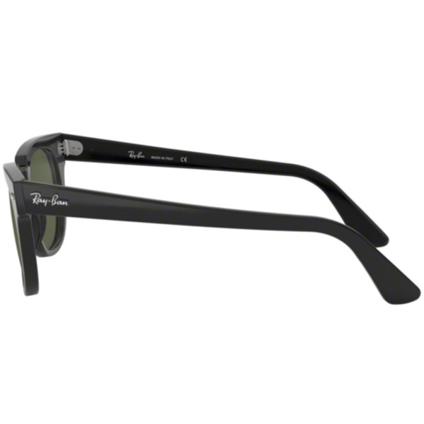 Ray-Ban Meteor Icon Sunglasses Black Wayfarer