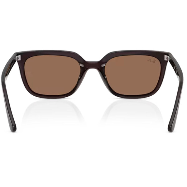 Inner of Ray-Ban Square Wayfarers with Low Bridge in Opal Brown/Dark Brown RB4439D 623173