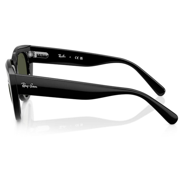 Arm of Ray-Ban Icons Doreen Sunglasses in Black/Green RB2286 901/31