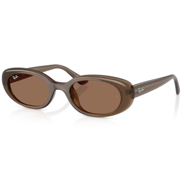 Ray-Ban 1960s Style Bug-Eye Sunglasses in Opal Brown/Dark Brown RB4441D 677973