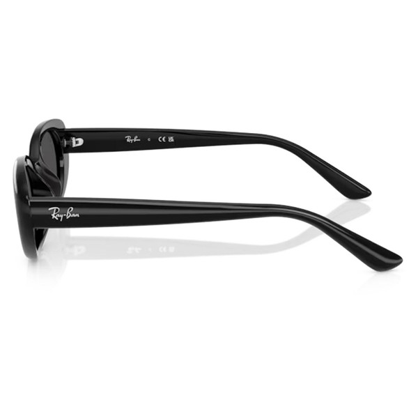 Arm of Ray-Ban Womens Retro 60s Bug-Eye Sunglasses in Black RB4441D