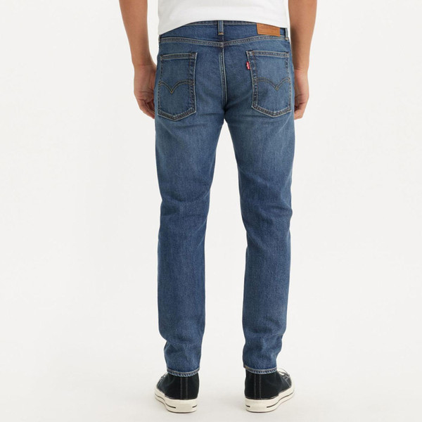 Levi's 510 Skinny Jeans in Feel The Same 055101348 Back Photo
