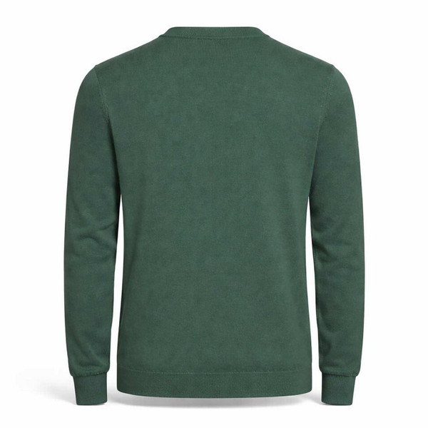 Lyle and Scott Men's Retro Cotton Crew Neck Jumper in Everglade Green Back View