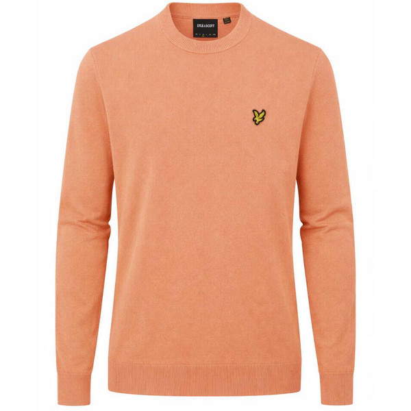 Lyle & Scott Men's Cotton Crew Neck Jumper in Terracotta Pot - Main View 