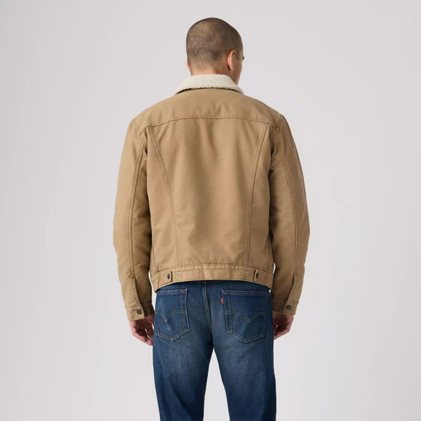 Model Wearing Levi's 60s Type III Sherpa Trucker Jacket in Ermine - Back facing full length