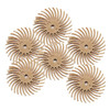 Radial Bristle 3/4" G3200 Peach 6 Pack