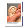 Female Face Study Stick W/Booklet