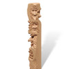 Noses & Hair Study Stick W/Booklet