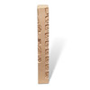 Basic Ear Study Stick W/Booklet
