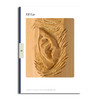 Basic Ear Study Stick W/Booklet