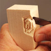 Basic Ear Study Stick W/Booklet
