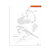 Ultimate Book Of Scroll Saw patterns