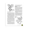 Great Book Of Dragon Patterns 3rd Ed.