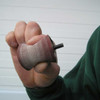 *CLOSEOUT* Guinevere Total Sanding Kit