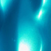 Black Diamond Pigments Blue/Green 2Tone 51G