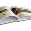 Set & File: A Practical Guide to Saw Sharpening