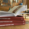 Workshop Wound Care