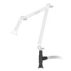 Mullet Workbench Mount Only For 2-Inch Arm