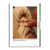 Woodspirit Study Stick w/Booklet