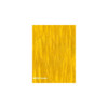 Trans Tint, Non-Grain Raising, Universal Dye Concentrate, Amber Makes 1/2 Gallon Dye Solution