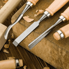 Carving Chisel Set 12 Pieces
