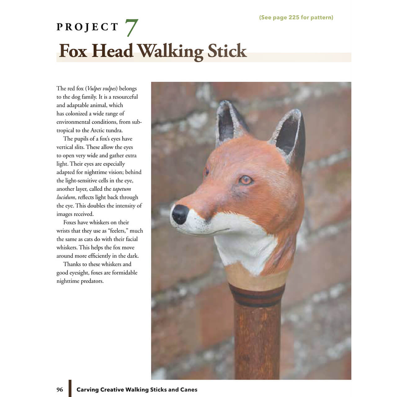 Cane Topper Woodcarving: Projects, Patterns, and Essential Techniques for  Custom Canes and Walking Sticks (Fox Chapel Publishing) Step-by-Step