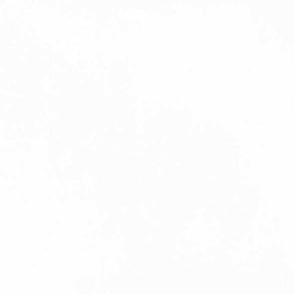 Milk Paint-Soft White Pint