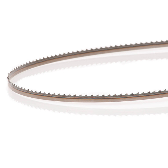 Timberwolf 145 X 1/4 X 6 TPI