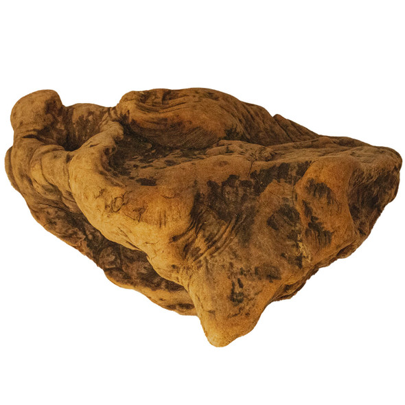 Manzanita Root Burl Small