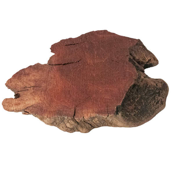Manzanita Burl Mini Flat