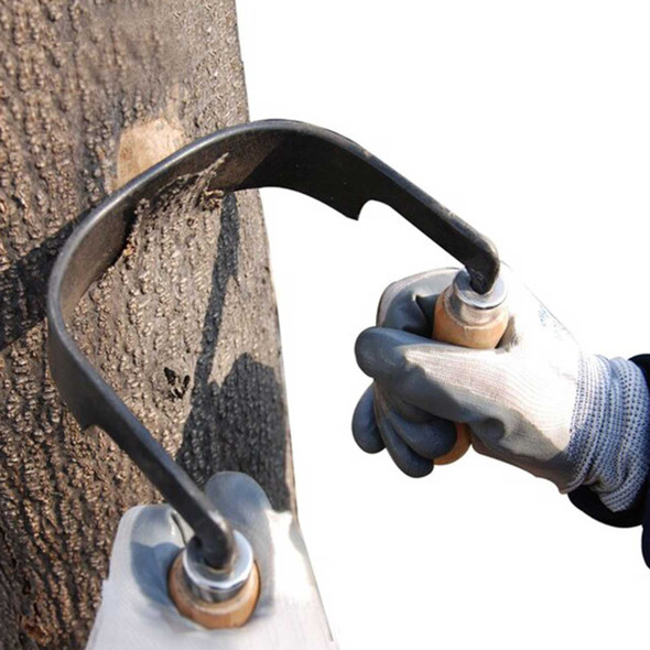 Draw Shave Curved 8" Radius