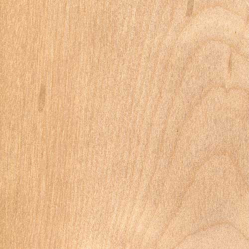 Water Based Natural Pre-Stain Pint