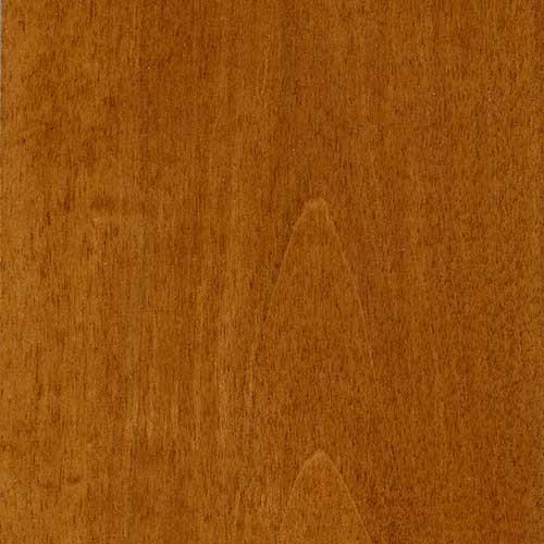 Water Based Stain - Pecan Pint