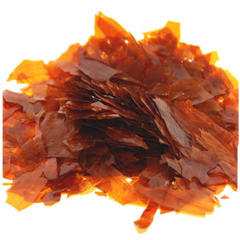 Shellac / Lemon Yellow Orange #1 8oz