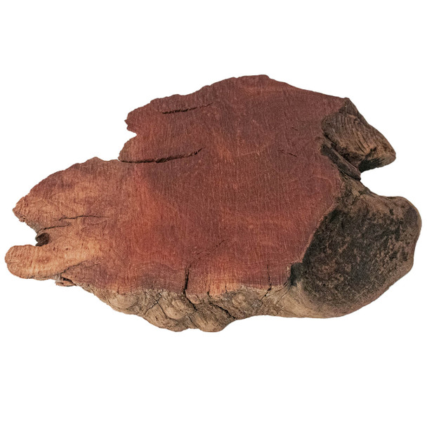 Manzanita Burl Small Flat