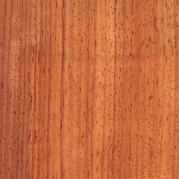 3 Sq' Paduak Veneer