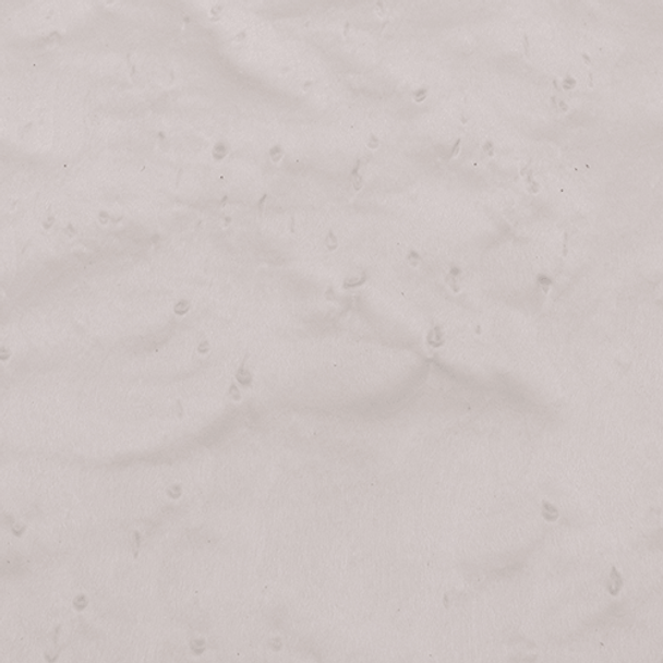 6 Sq. Dyed White Veneer