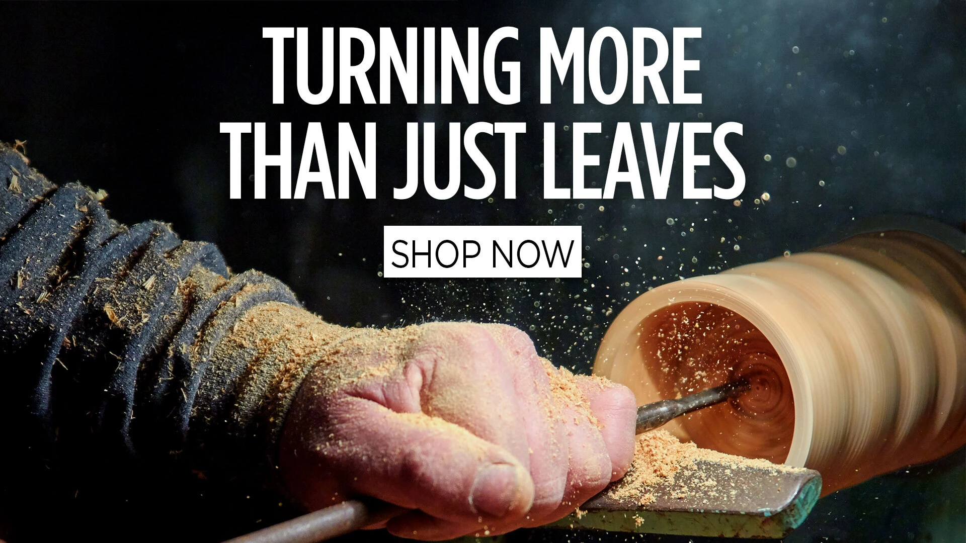 Fall INto Savings