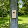 Wakefield Premium Bird Houses Screech Owl or Saw-Whet Owl House/Nesting Box for Small Owls