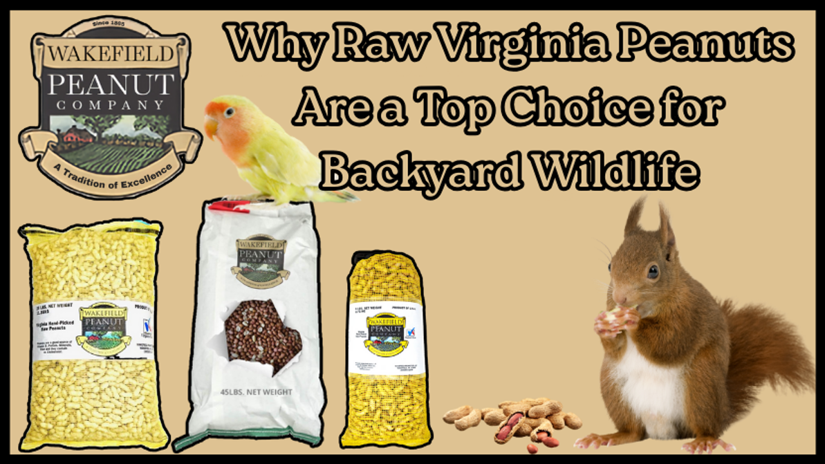 Why Raw Virginia Peanuts Are a Top Choice for Backyard Wildlife