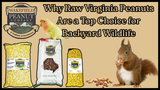Why Raw Virginia Peanuts Are a Top Choice for Backyard Wildlife