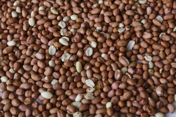 Wakefield Virginia Peanuts Shelled Animal Peanuts, 45 LBS